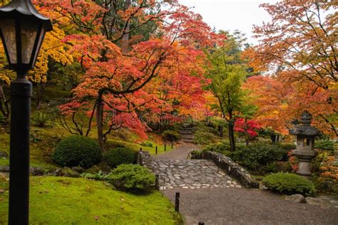 Washington Park Arboretum JApanese Garden, Seattle, Washington Stock Photo - Image of japanese ...