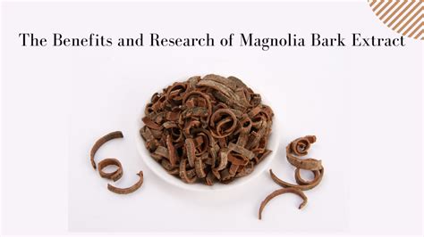 The Benefits of Magnolia Bark Extract - Xi'an Herb Bio