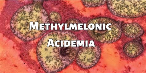 Methylmalonic Acidemia Market: Trends, Growth Drivers, and Future ...