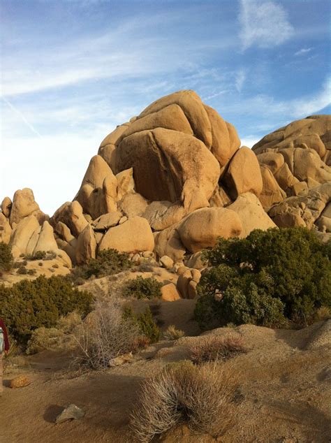 All This Is That: At Skull Rock in Joshua Tree National Park