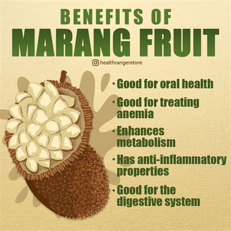 Benefits of Marang fruit | Marang, Nutrition, Digestion