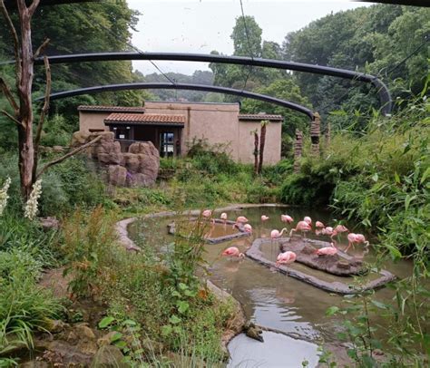 Themeparkzoo - Zoo Wuppertal , animal park in Germany