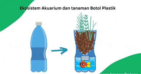 Ekosistem Akuarium dan tumbuhan Dalam Botol Plastik Air Mineral - GURU SUMEDANG