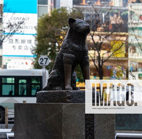 Hachiko Memorial Statue I, A picture of the Hachiko Memorial Statue, in ...