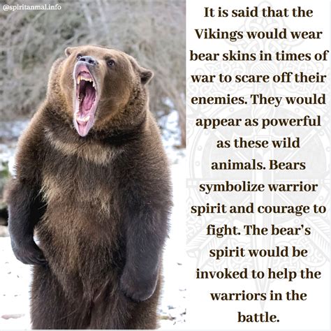 Bear Spirit Animal | Meaning | Bear spirit animal, Spirit animal ...