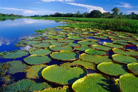 Peru image gallery - Lonely Planet