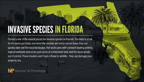 Invasive Species in Florida | Kanner & Pintaluga