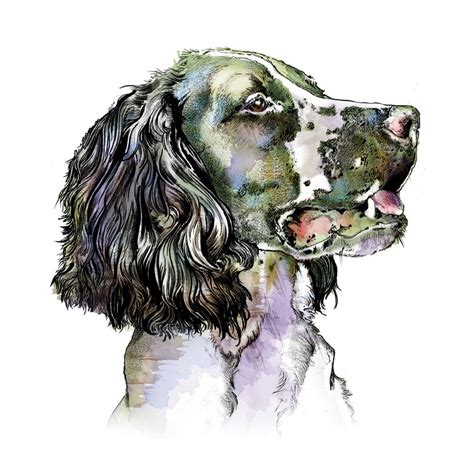 Spaniel Spaniel Art Spaniel Print Spaniel Gift Spaniel - Etsy