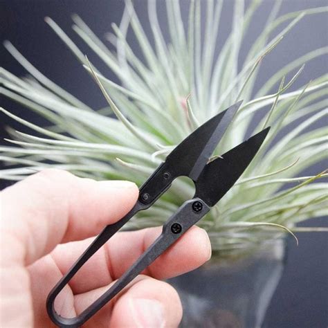 5 Best Garden Scissors of 2024 | Family Handyman