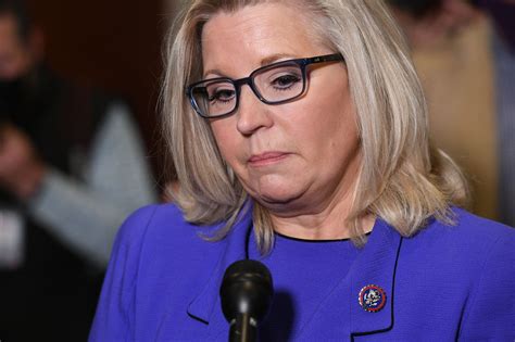 Who Is Harriet Hageman? Donald Trump Set to Endorse Liz Cheney ...