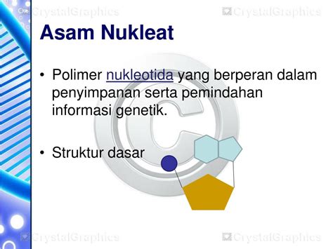 PPT - ASAM NUKLEAT PowerPoint Presentation, free download - ID:1895965