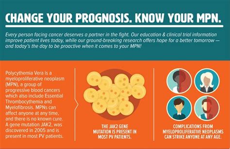 Polycythemia Vera (PV) – MPN Research Foundation