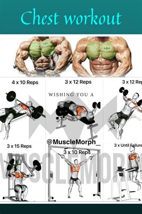 10 Best Chest Workout Exercises for Building Muscle