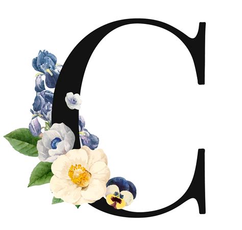 Letter C, Alphabet, Capital PNG Image