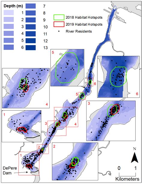 4: Lake Sturgeon habitat hotspots and all daily detections of river... | Download Scientific Diagram