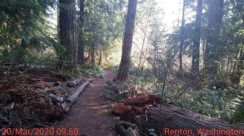 Renton Park — Washington Trails Association