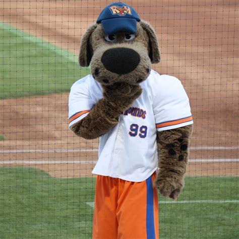 Mascots | RockHounds