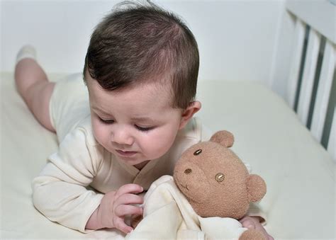 Teddy Bear Comforter - 100% Organic Toy - NaturaPura