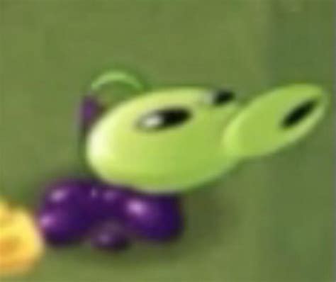 Ah the goo peashooter, so cursed. : PlantsVSZombies