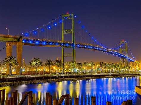 Vincent Thomas Bridge - Nightside Photograph by Jim Carrell - Pixels