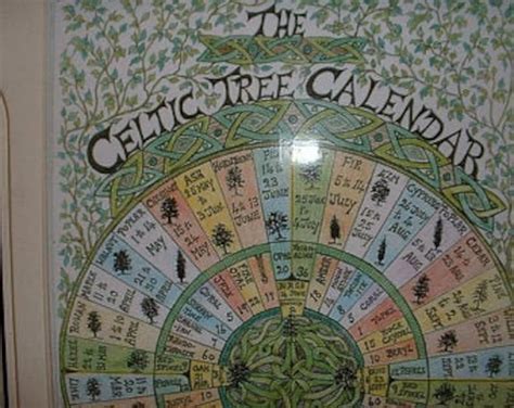 Celtic Tree Calendar A3 - Etsy