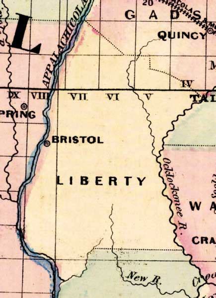 Map of Liberty County, Florida, 1877