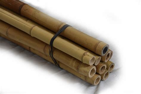 Moso Bamboo Pole 2"D x 8' to 10'L Bundle | Bamboo Toronto Store