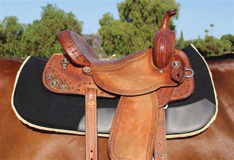 Contoured Work Horse Saddle Pad Professional's Choice - Pads | Saddle ...