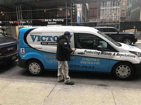 New York City Pest Control Services: Victory Pest Solutions