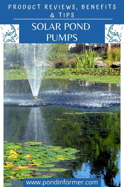 Solar Pond Pumps | Solar pond, Ponds backyard, Farm pond