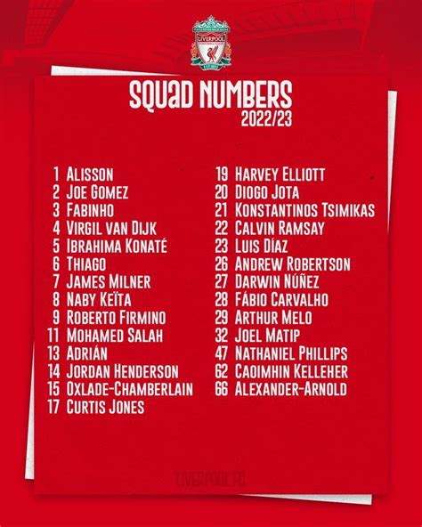 Liverpool FC in 2024 | Liverpool squad, Football team names, Liverpool