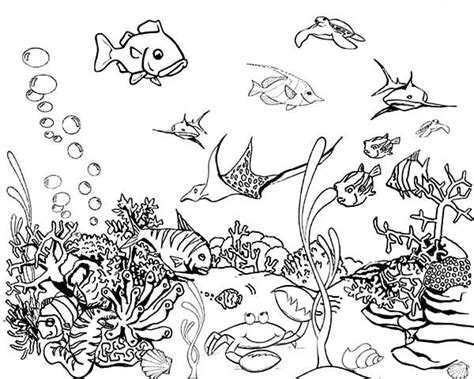 Coloring Pages Aquarium - LayneecHansen