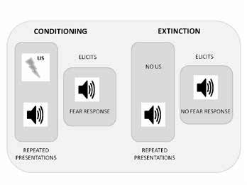 Schematic representation of the fear conditioning phenomena. US:... | Download Scientific Diagram