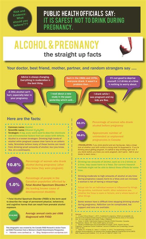 Alcohol and Pregnancy Infographic – Girls, Women, Alcohol, and Pregnancy