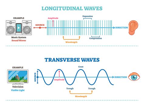 Wave Basics | MooMooMath and Science