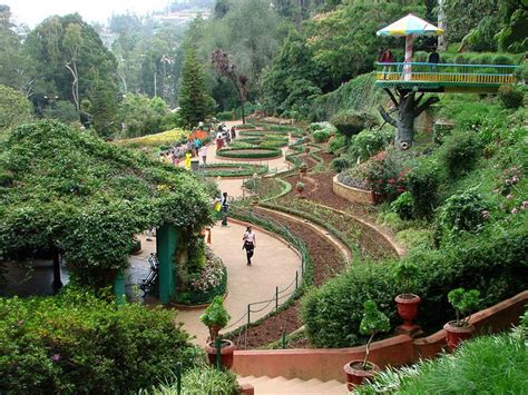 Botanical Gardens - Ootacamund (Ooty) india | Holiday destinations in india, Tourist places, Ooty