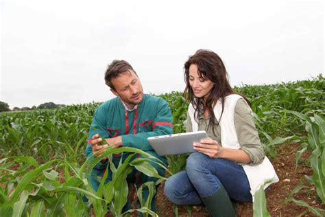 How to Become an Agricultural Engineer - Degrees & Careers