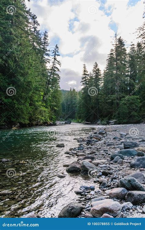 The Cowlitz River stock image. Image of farmland, basin - 100378855