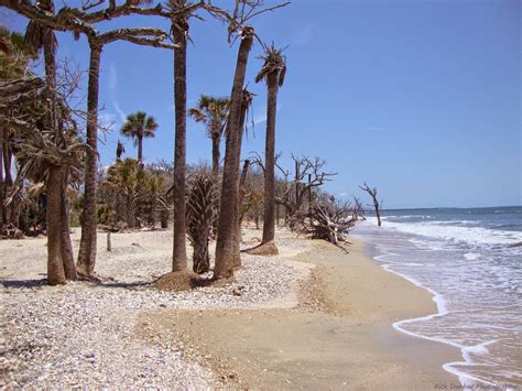 Vacation Rick: The Sandy Side Of The Charleston Lowcountry Experience--World Class