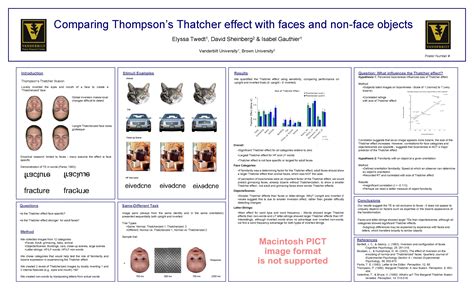 Comparing Thompsons Thatcher effect with faces and nonface