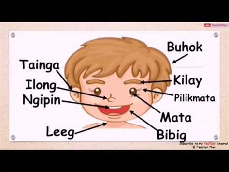 Iba't Ibang Bahagi Ng Ating Katawan (PARTS OF THE BODY) - Tagalog Lesson - YouTube