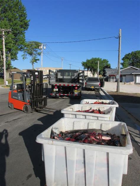 Turning Michigan fish waste into fertilizer creates a commercial ...