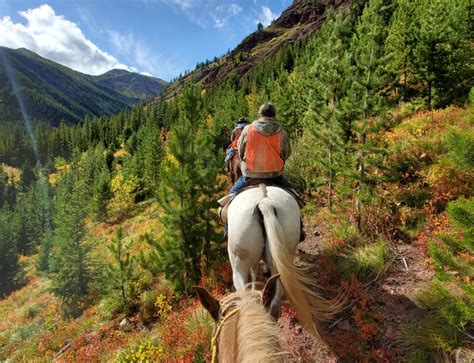 Our Most-Loved Photos from Fall in Montana's Rocky Mountains - Mills ...