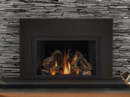 Napoleon Gas Fireplace Inserts Prices – I Am Chris