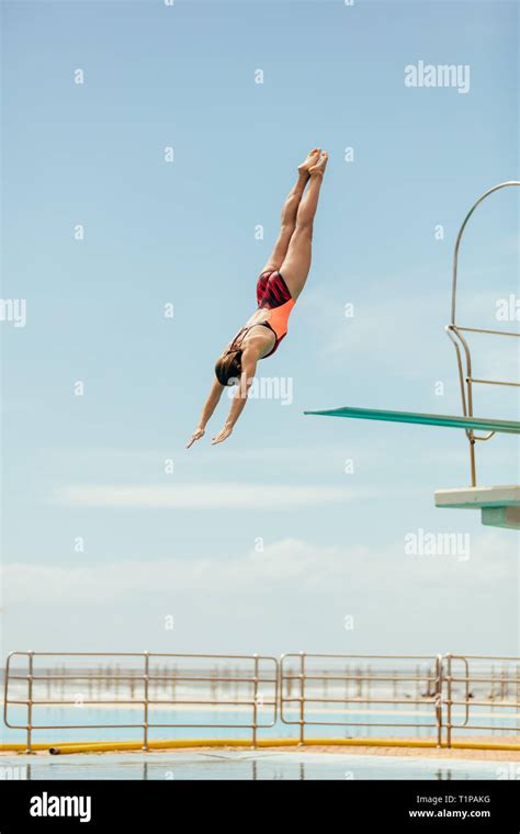 Woman diving into the pool from spring board. Female diver diving ...