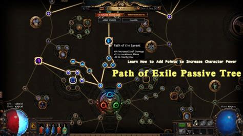 Path of Exile Passive Tree: Learn How to Add Points to Increase Character Power