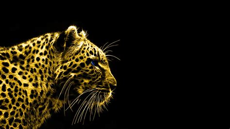 leopard, Animals, Black Background, Fractalius Wallpapers HD / Desktop and Mobile Backgrounds