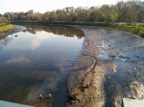 The River Lagan this morning (21st April) : r/northernireland