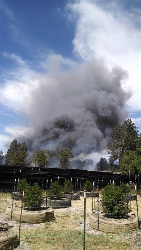 [UPDATE 6/29: 35 Acres/PHOTOS!] Downtown Covelo Being Evacuated Due to ...