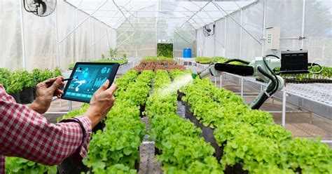 Smart Farming Technologies: Sowing Food Security in the 21st Century